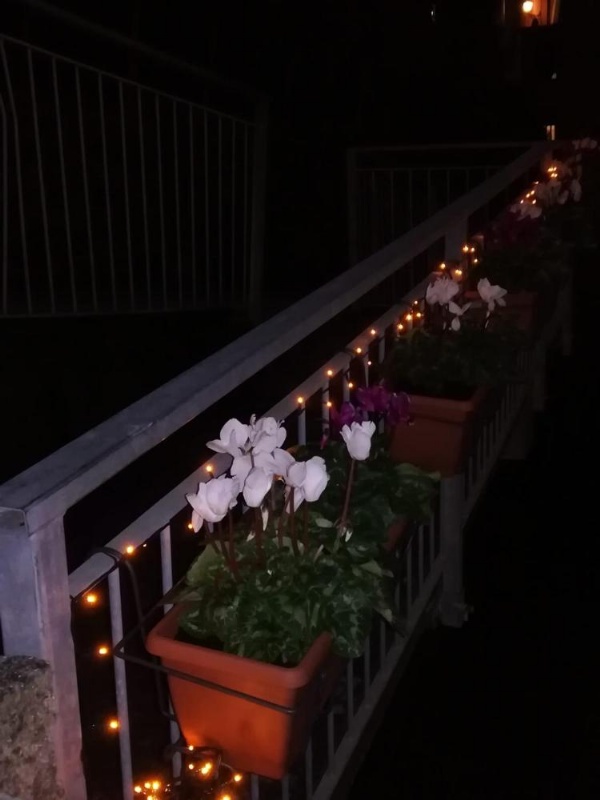 Rio Groppo Guesthouse image 16